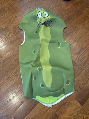 Pickle Rick costume