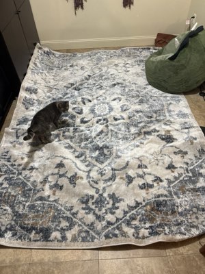 Area rug, distressed blue and cream medallion pattern