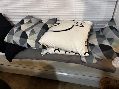 Sofa cushions and a body pillow