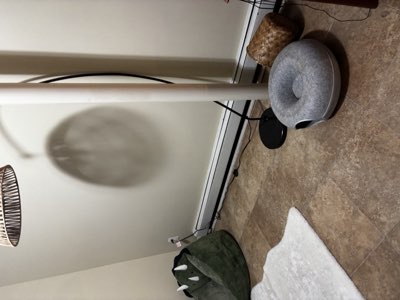 Arc floor lamp with rattan shade